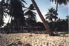 beach at natura park