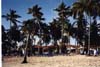 beach at natura park