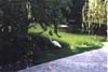 hotel grounds, egret