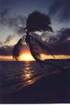 sunrise (2)