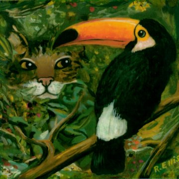 jungle cat