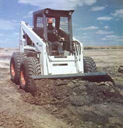 Bobcat.JPG