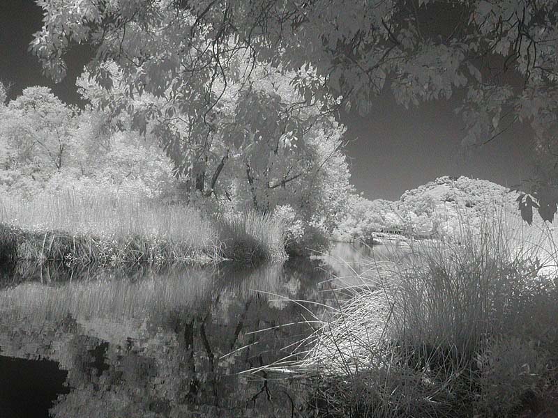 lakeir