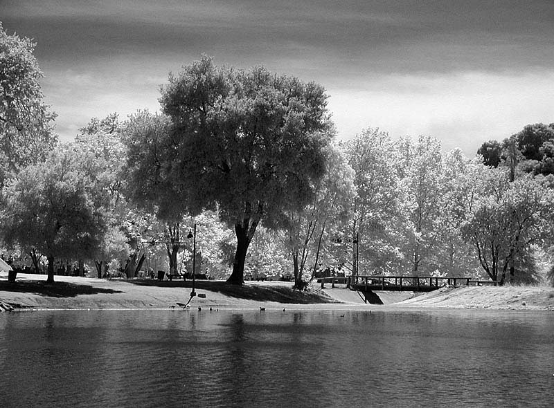 lakeparkir