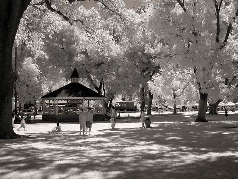 park