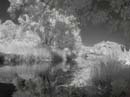 lakeir