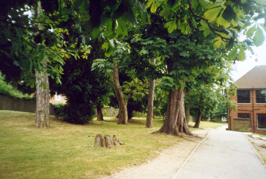 pic10.jpg