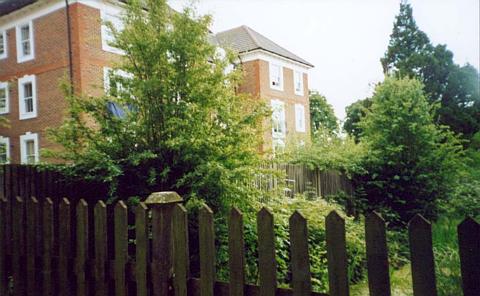 pic11.jpg