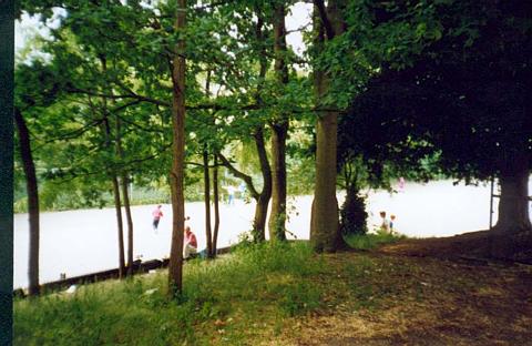 pic16.html
