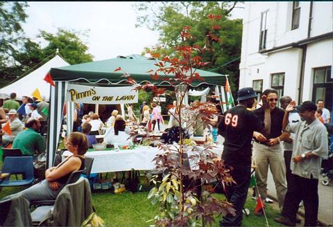 pic24.jpg