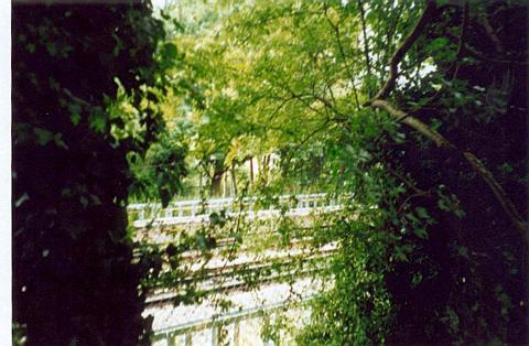 pic28.jpg