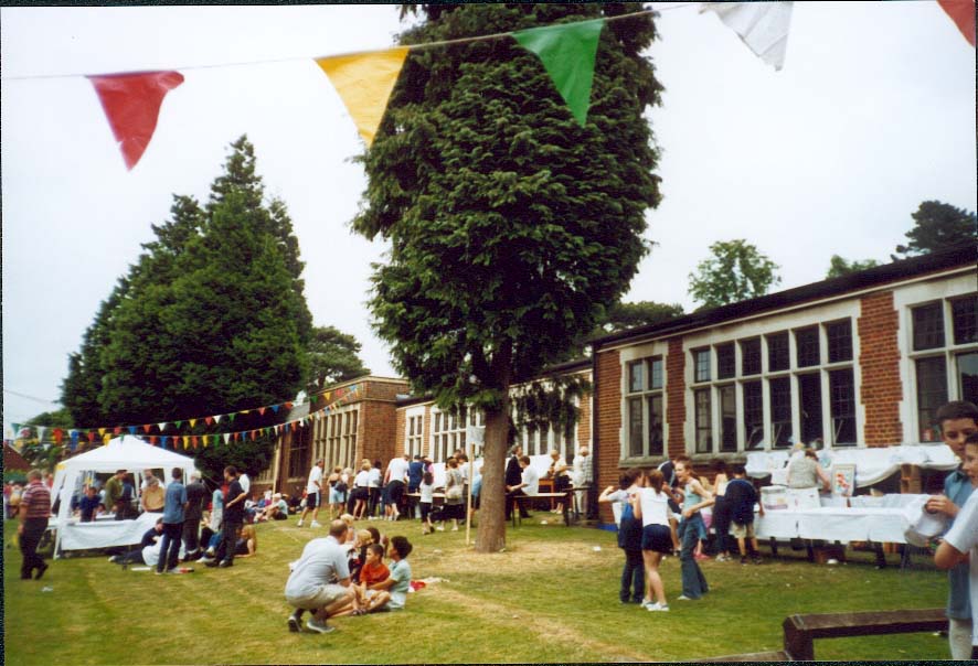 pic31.jpg