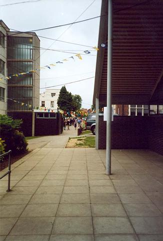 pic34.jpg