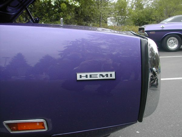 Click to see next picture
