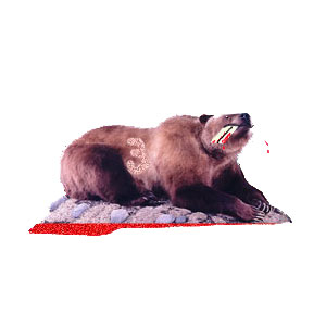 bear