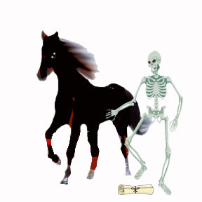 black horse
