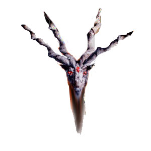 goat with 4 horns