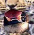 lion's mouth