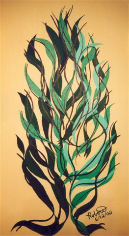 Tall Tree - 6/12/2002