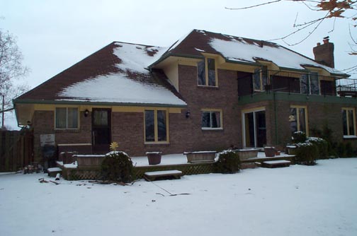 back view
