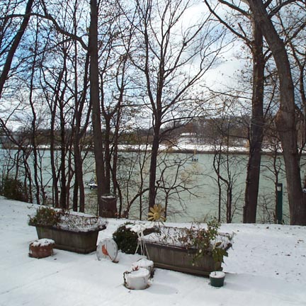 Our Backyard Nov. 24, 2005