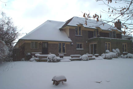 Back yard