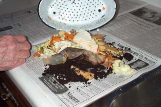 waste dumped onto newspaper
