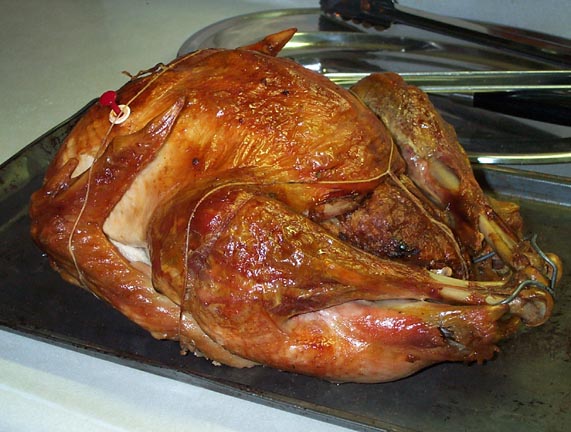 turkey