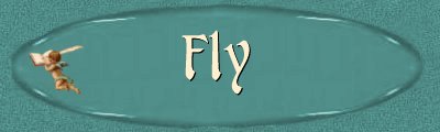 Fly Banner