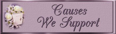 Our Causes Banner
