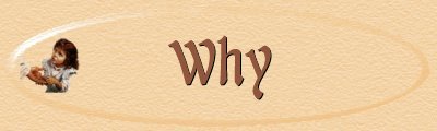 Why Banner