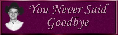 You Never Said Goodbye Banner