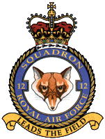 12 Squadron Badge
