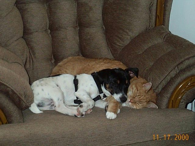 Just a little nap