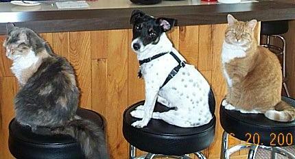 Just waiting for a beer