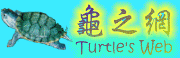 turtle's web