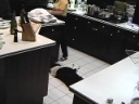 125N01.jpg