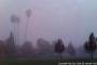 Misty Morning