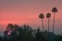 Red Sunset