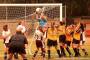Goal Save