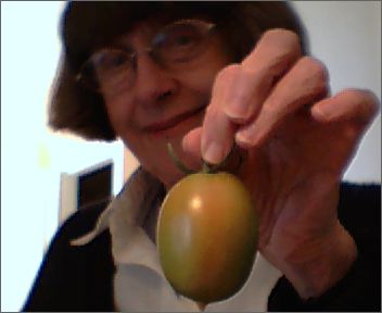 The big tomato.