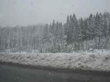 Snow2.jpg (41299 bytes)