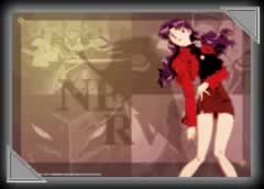  evangelion24.jpg 