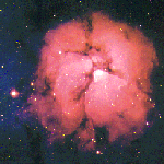 trifid