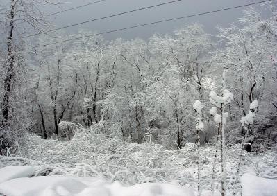 clsnow.jpg (127952 bytes)