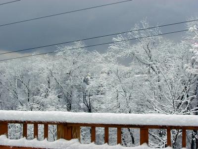 clsnow4.jpg (32576 bytes)