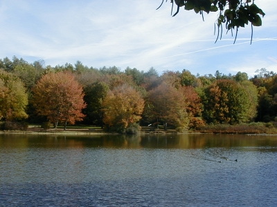 cltwinlakes.jpg (115512 bytes)