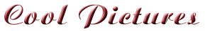 gfcoolpictures1.gif (3859 bytes)