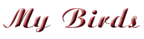 gfmybirds1.gif (3100 bytes)