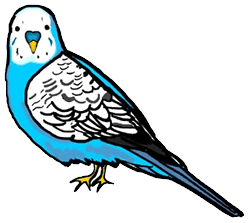 parakeet.gif (11975 bytes)